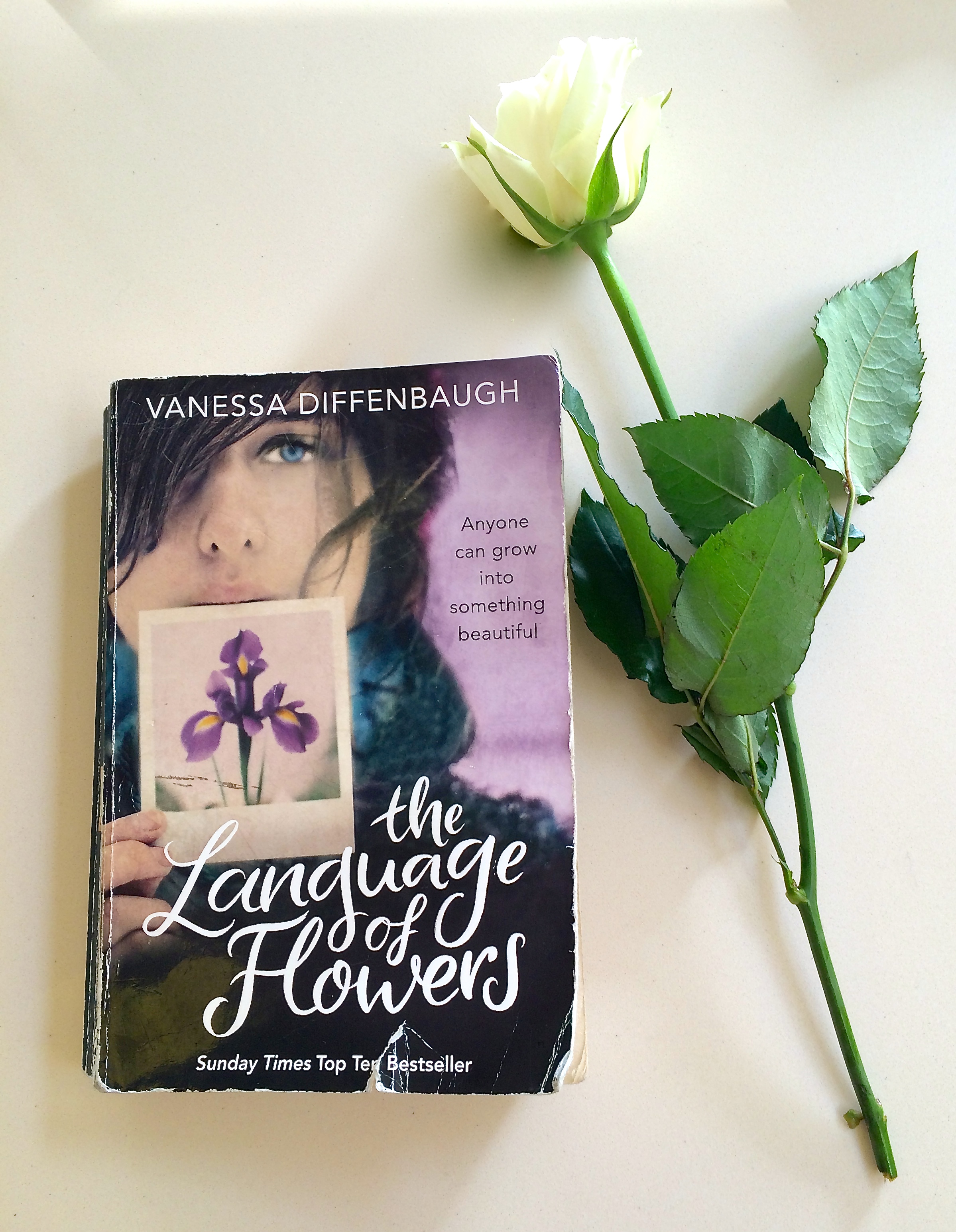 Book Review The Language of Flowers by Vanessa Diffenbaugh Changing