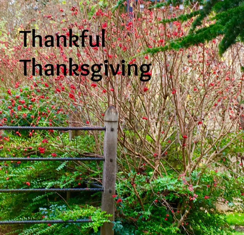 thankful-thanksgiving
