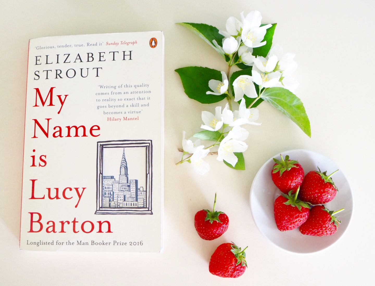 ny times book review my name is lucy barton