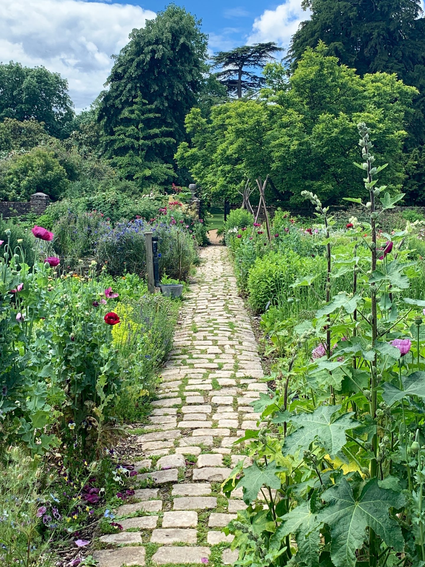 Osterley Garden - Changing Pages