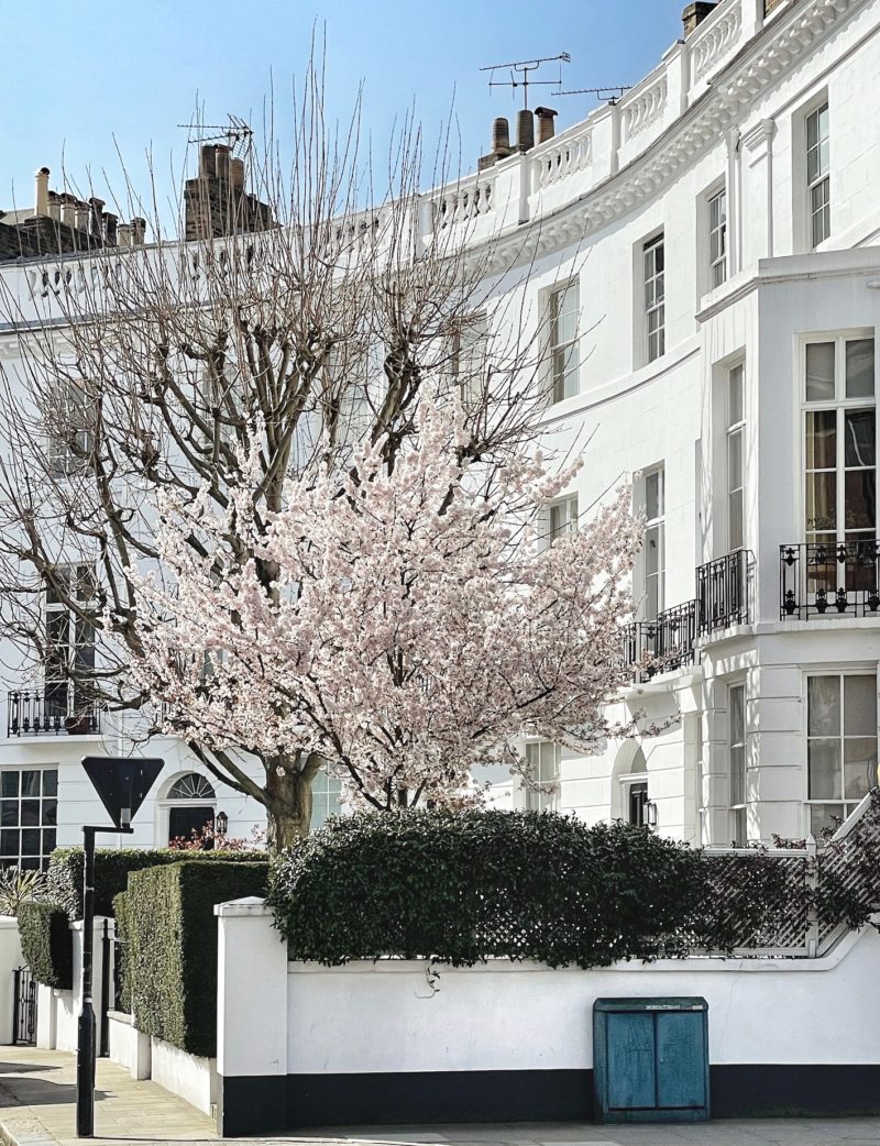 A Quiet Walk around South Kensington - Changing Pages